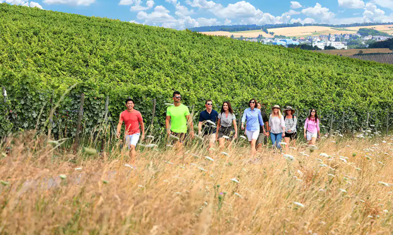 Included Hiking Excursions