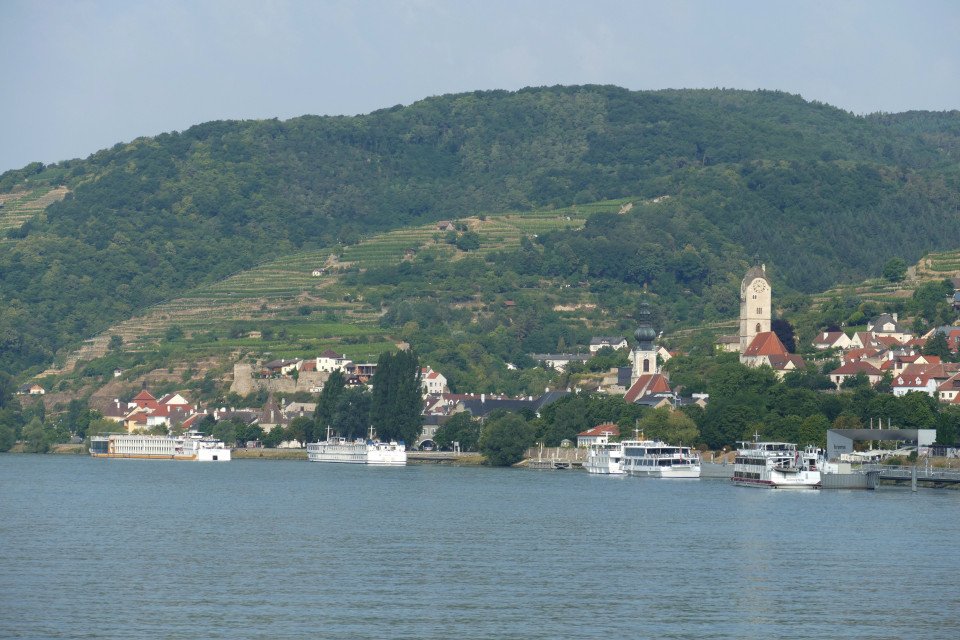 15 Image 15