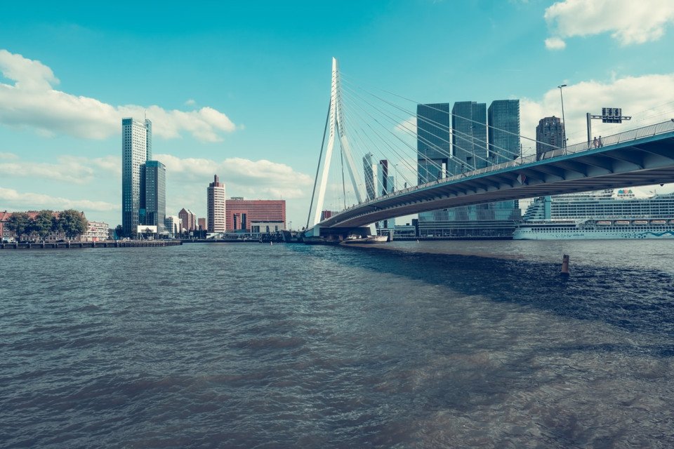 7 Image 7