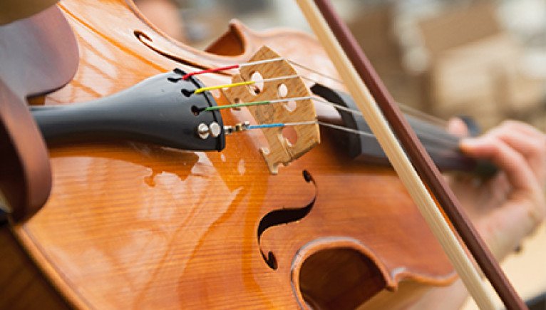 Classical & Regional Musicians