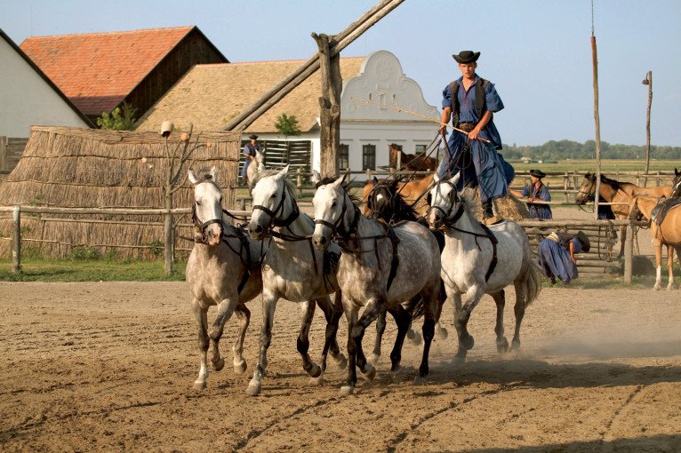Complimentary Bike Rental