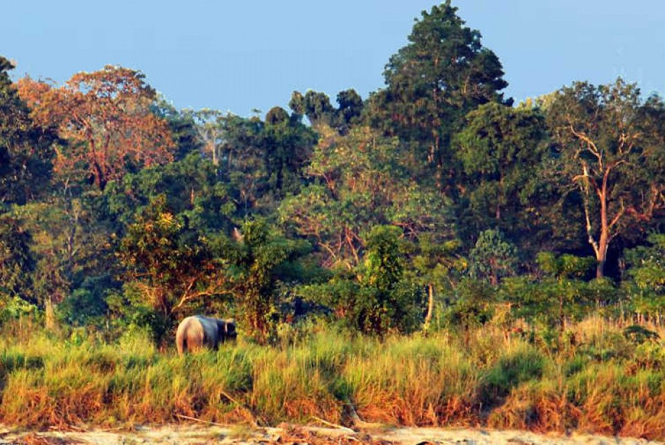 Nameri National Park