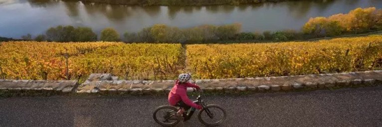 Bicycles on board