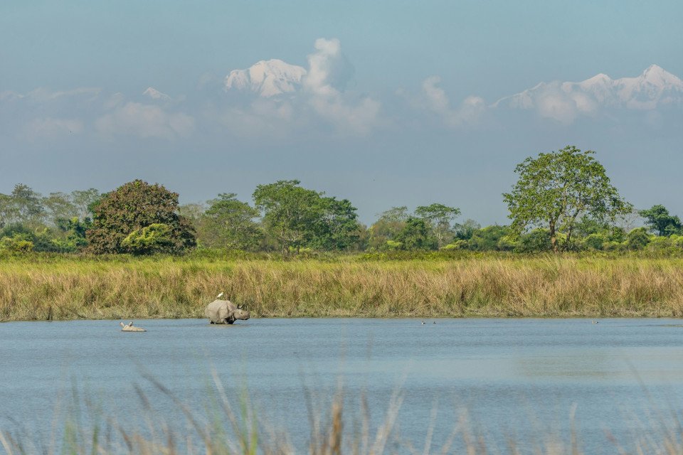 Kaziranga National Park