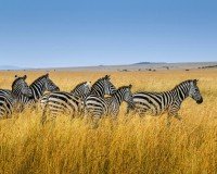 6 Image 6