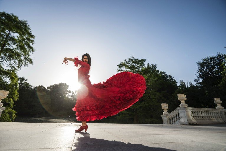 Flamenco Show