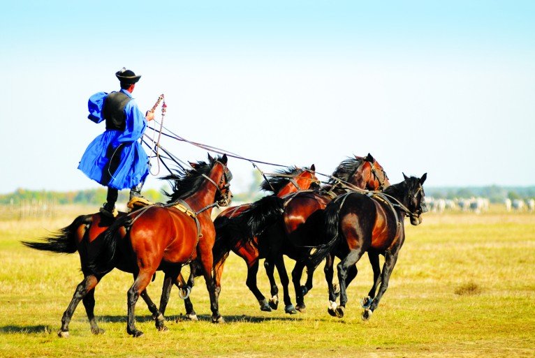 Folk Art House and Horse Show
