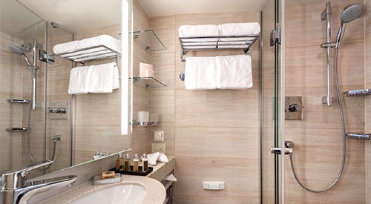 French Balcony Stateroom (C, D)