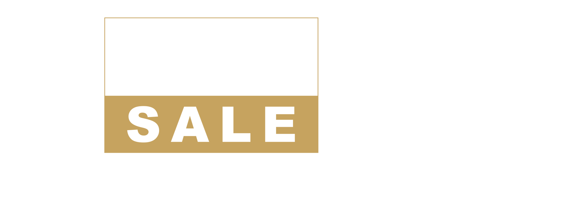Promotion Banner
