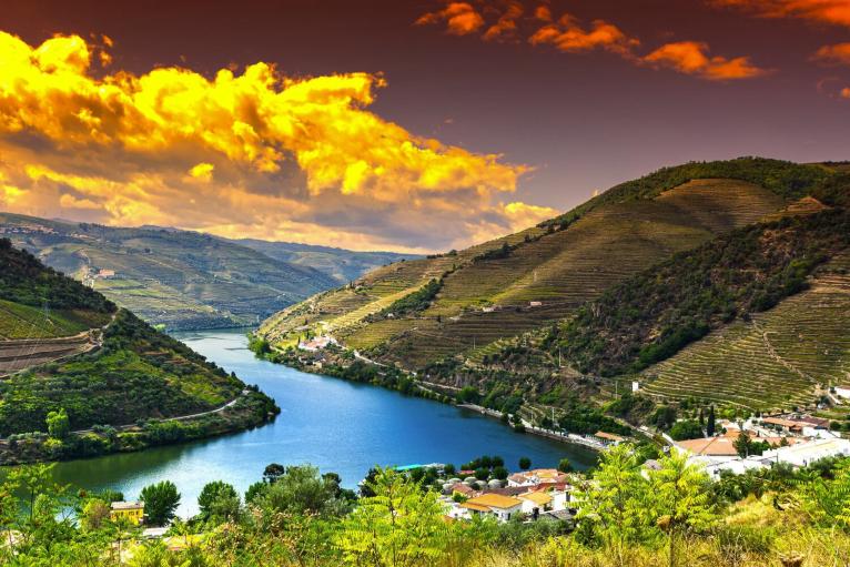 Excursions on MS Douro Elegance