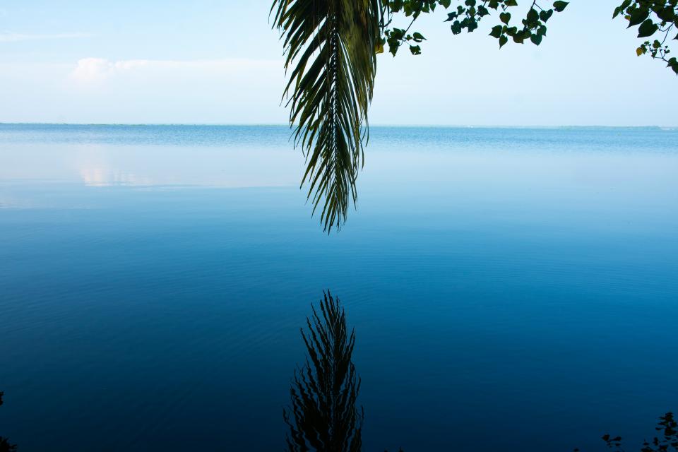 1 Image 1