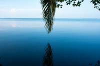 1 Image 1