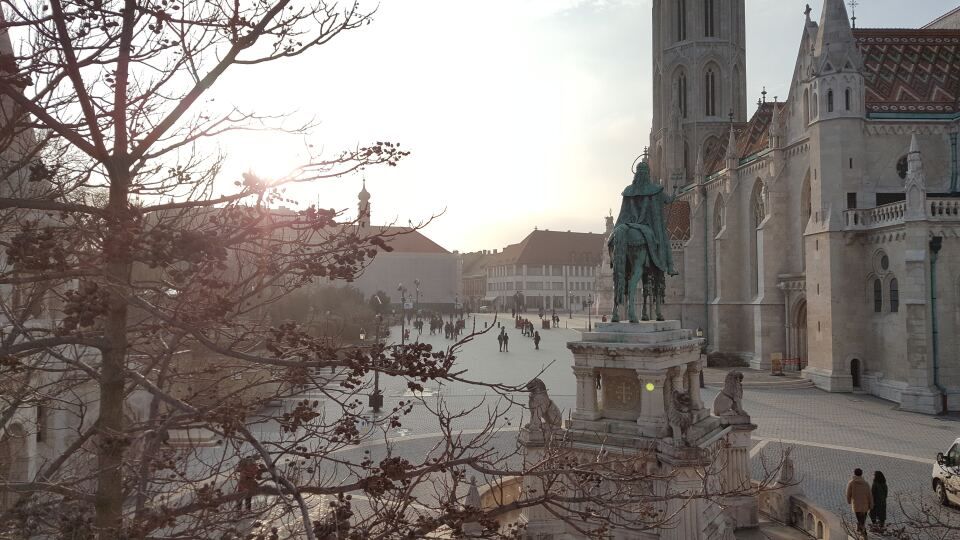 10 Image 10