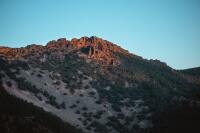 7 Image 7