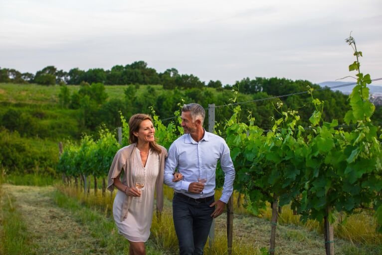 Special Interest River Cruises on AMADEUS Nova